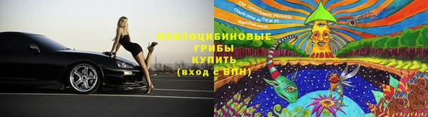 хмурый Алексин