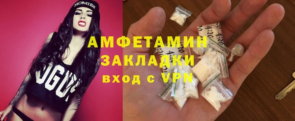 хмурый Алексин