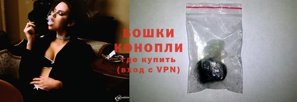 дмт Арсеньев