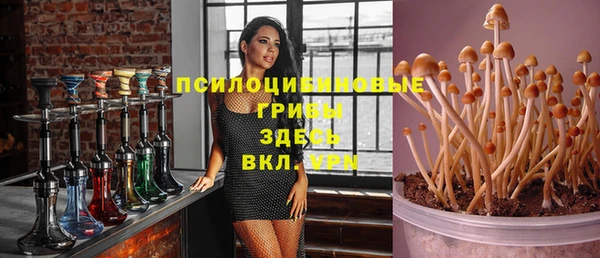 не бодяженный Алзамай