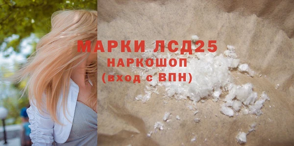 хмурый Алексин