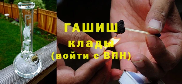 хмурый Алексин