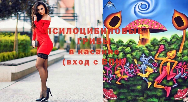 не бодяженный Алзамай