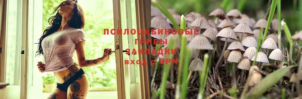 хмурый Алексин