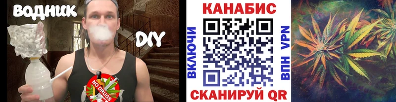 Конопля гибрид  Ликино-Дулёво 